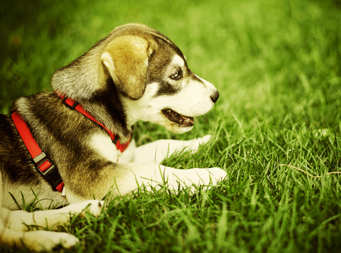 ddos在线攻击平台