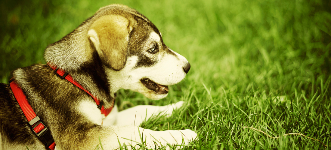 DDOS在线压力测试