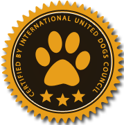 一键问题诊断的免费ddos网页端